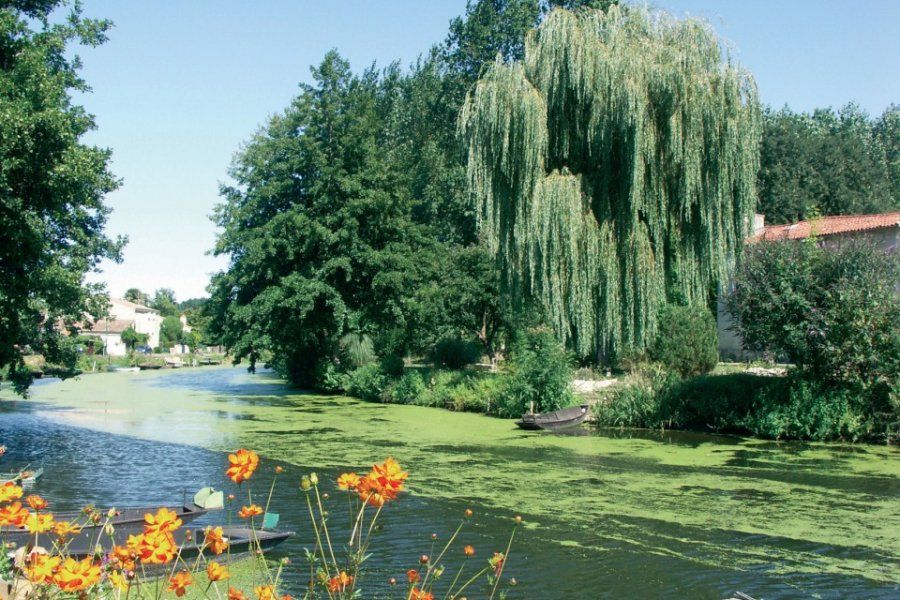 PARC NATUREL RÉGIONAL DU MARAIS POITEVIN