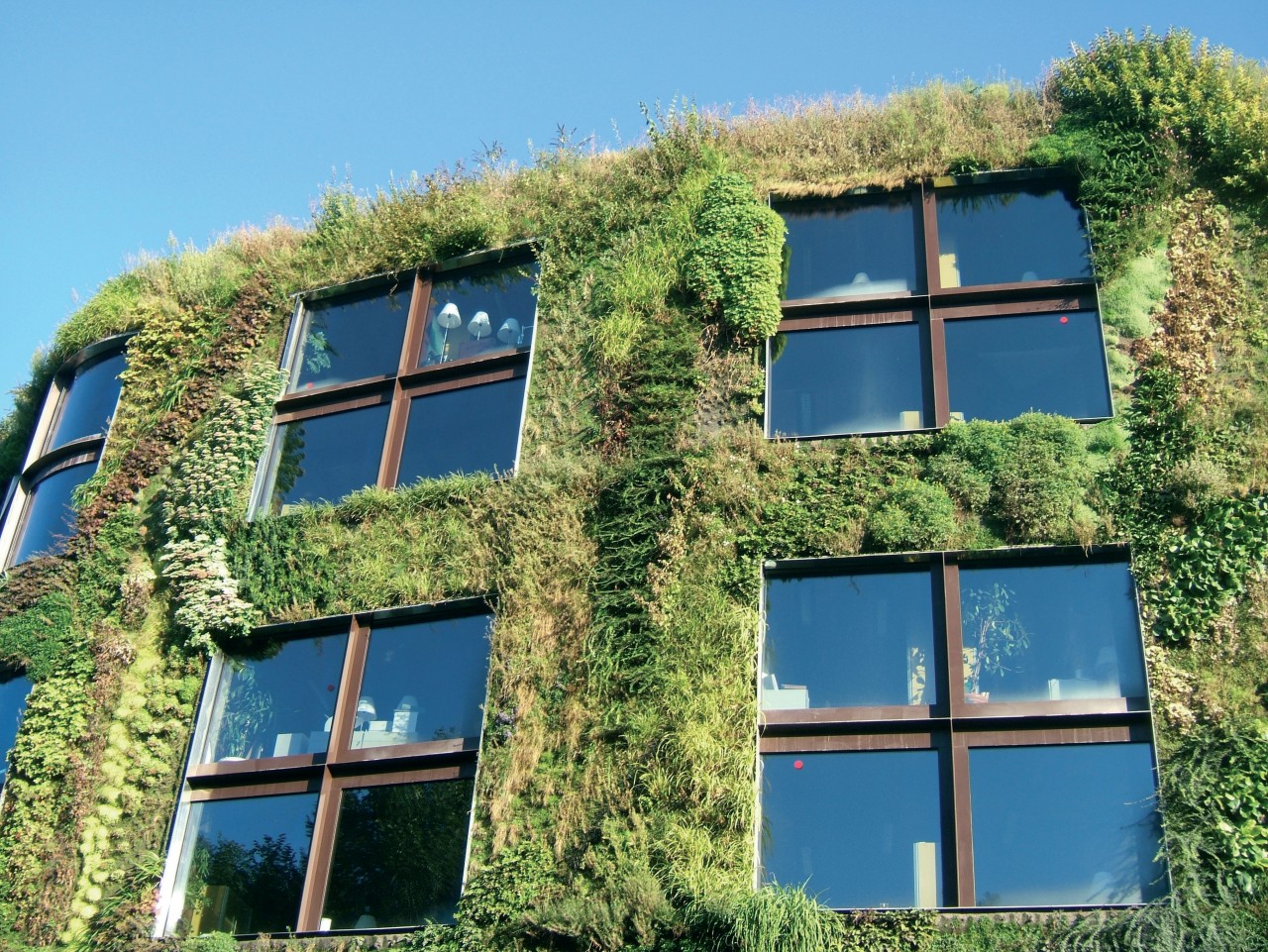 MUSÉE DU QUAI BRANLY - JACQUES CHIRAC (© MUSÉE DU QUAI BRANLY - JACQUES CHIRAC))