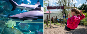 AQUARIUM D'AMNÉVILLE