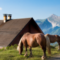 LES CHALETS D'IRATY