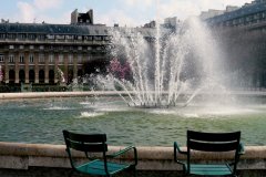 LE JARDIN DU PALAIS ROYAL