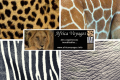 AFRICA VOYAGES