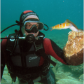 STAY WET DIVING CENTER