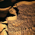 GROTTE DE TRABUC