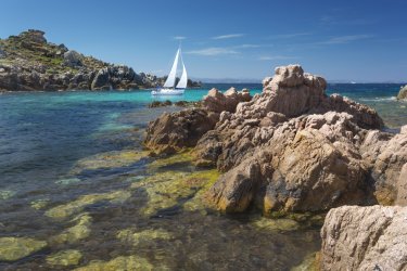 LA RÉSERVE NATURELLE DES BOUCHES DE BONIFACIO (© LA RÉSERVE NATURELLE DES BOUCHES DE BONIFACIO)