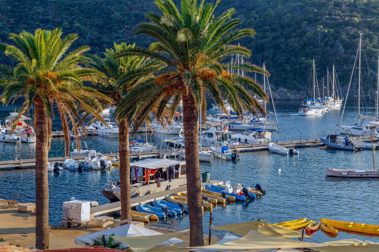 ÎLE DE PORT-CROS (© ÎLE DE PORT-CROS))