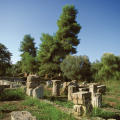 SITE ANTIQUE D'OLYMPIE