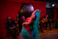 TABLAO FLAMENCO GRANADA - JARDINES DE ZORAYA