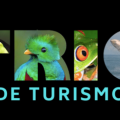 TRIO DE TURISMO