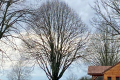 VILLAGE DE GITES LA PERDICIE