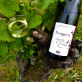 DOMAINE BANNWARTH C. & FILS