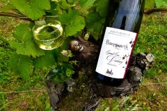 DOMAINE BANNWARTH C. & FILS