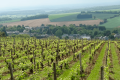 DOMAINE HENRY NATTER