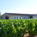 DOMAINE DUVERNAY P ET F