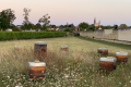 Domaine de la Paleine