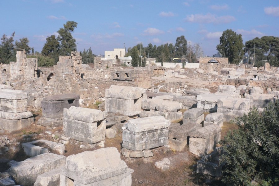 SITE ARCHÉOLOGIQUE D'AL BASS