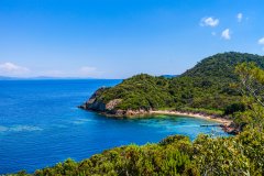 PARC NATIONAL DE PORT CROS (© PARC NATIONAL DE PORT CROS)