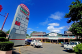SUPERMERCADO LINDO