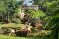 JARDIN BOTANIQUE DE DESHAIES