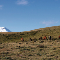 PARQUE NACIONAL COTOPAXI