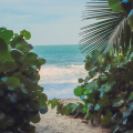 PLAYA LOS ÁNGELES