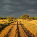 BEL AFRICA