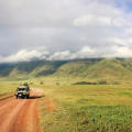 SAFARI DANS LE CRATÈRE DU NGORONGORO