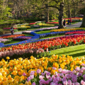 KEUKENHOF