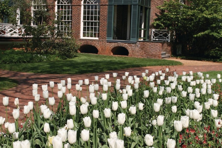 MONTICELLO