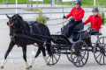 INSTITUT FRANÇAIS DU CHEVAL ET DE L'ÉQUITATION