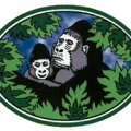 GORILLA TOURS