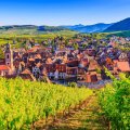 THE ALSATIAN WINE ROUTE