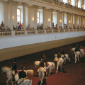 ÉCOLE D'ÉQUITATION ESPAGNOLE