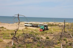 LE P'TIT TRAIN DE SAINT-TROJAN