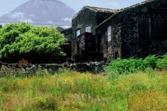 CAZAS DO PICO