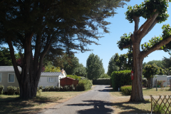 CAMPING LES SALINES