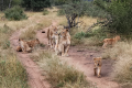 EKIMA AFRIKA TRAVEL