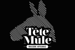 TÊTE DE MULE