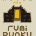 HOTEL RUMI PUNKU