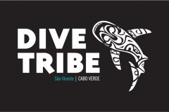 DIVE-TRIBE