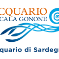 ACQUARIO DI CALA GONONE