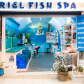 ARIEL FISH SPA