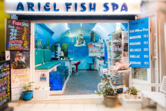 ARIEL FISH SPA