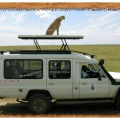 THE RETREAT AT NGORONGORO