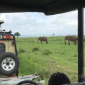 ZANZIBAR NATURE TRAILS