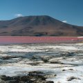 MUNDO QUECHUA