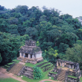 ZONA ARQUEOLÓGICA DE PALENQUE