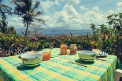 HABITATION DESROSIERS