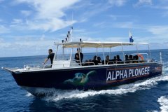ALPHA PLONGÉE