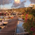 MANGO BAY